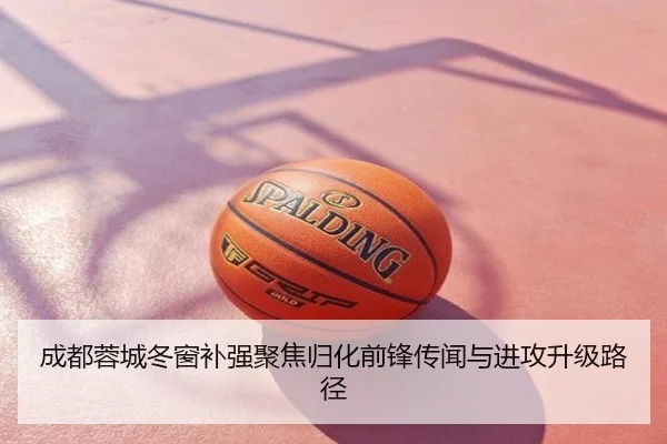 成都蓉城冬窗补强聚焦归化前锋传闻与进攻升级路径