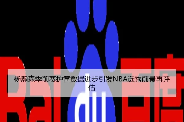 杨瀚森季前赛护筐数据进步引发NBA选秀前景再评估