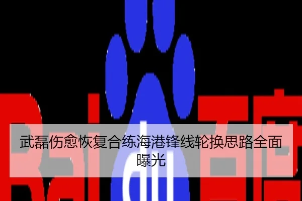 武磊伤愈恢复合练海港锋线轮换思路全面曝光