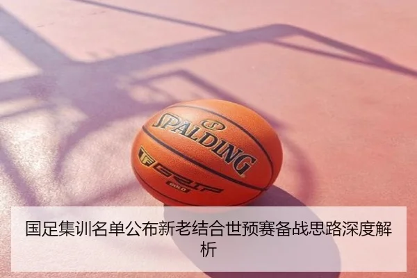 国足集训名单公布新老结合世预赛备战思路深度解析