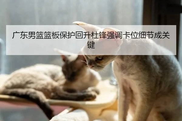 广东男篮篮板保护回升杜锋强调卡位细节成关键